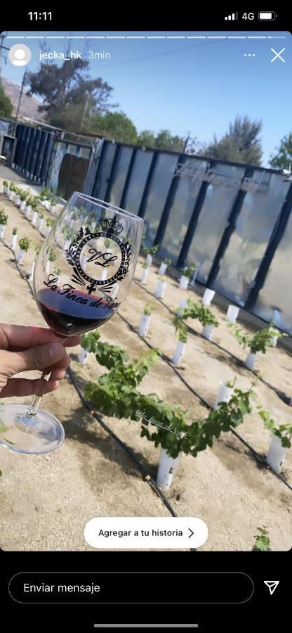 La Finca De Vane Valle de Guadalupe Eksteriør bilde