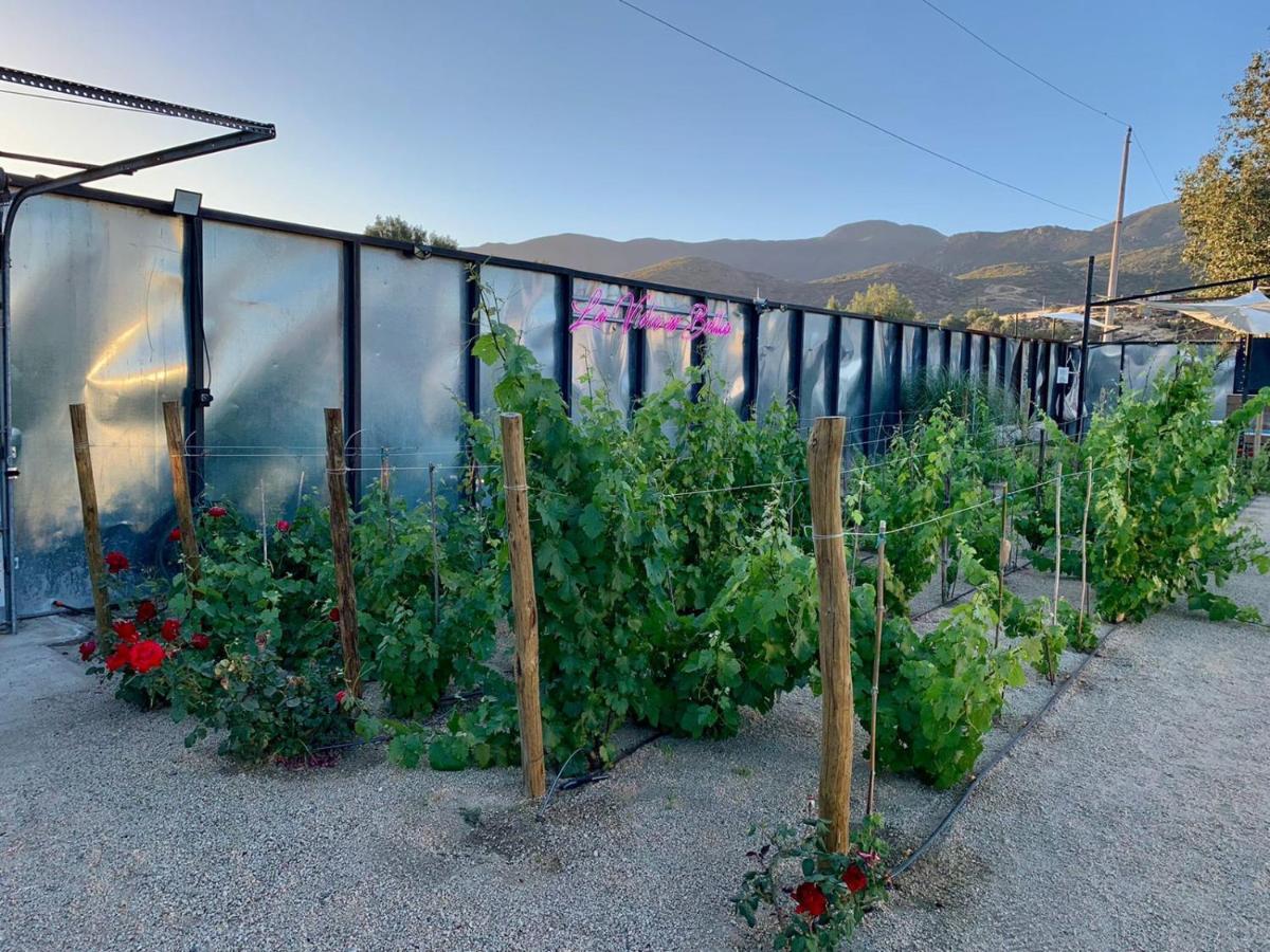 La Finca De Vane Valle de Guadalupe Eksteriør bilde