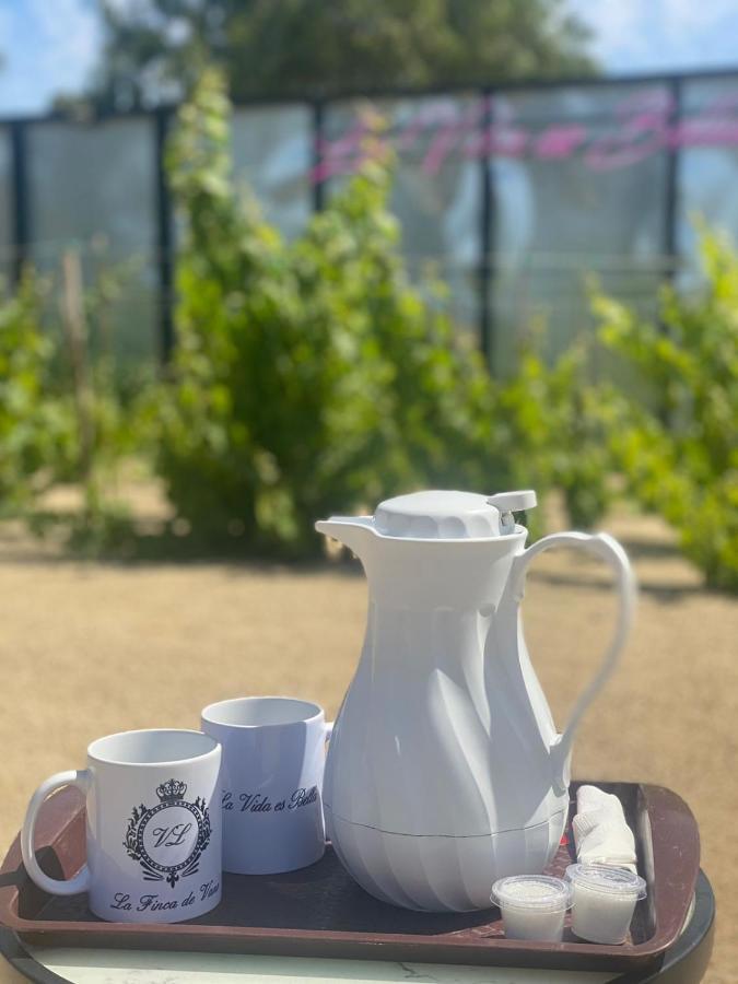 La Finca De Vane Valle de Guadalupe Eksteriør bilde